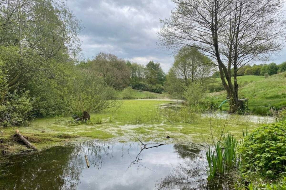 The Frodsham And Helsby Circular Walk - Easy Life Traveller